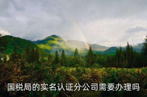 四川國稅局實名認證需要什么手續(xù)，在國稅局辦理法人實名制認證要帶什么材料