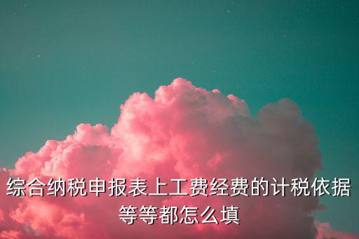綜合納稅申報表上工費經費的計稅依據等等都怎么填