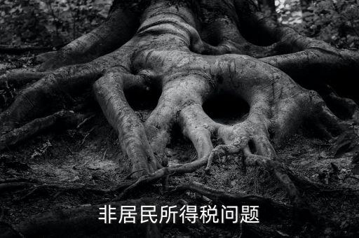 有什么是非居民企業(yè)，個(gè)私企業(yè)的范圍除了個(gè)體戶還包括哪些性質(zhì)的企業(yè)