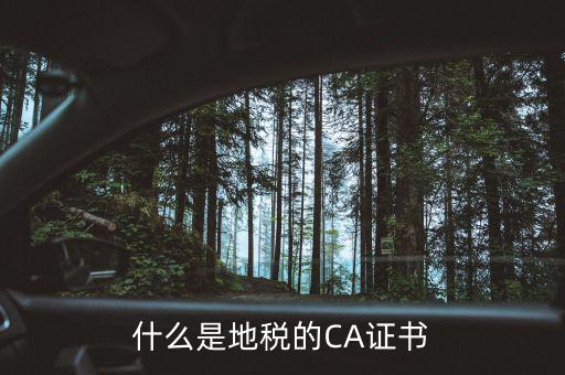 什么叫地稅CA用戶，什么是CA用戶