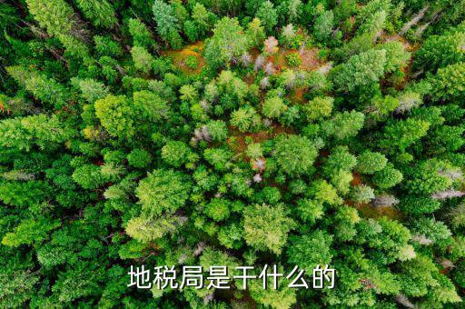 地稅主要負(fù)責(zé)什么工作總結(jié)，地稅局一般做什么工作啊