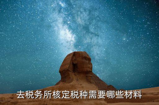 國(guó)稅票種核定需要什么，哪些情況下要進(jìn)行國(guó)稅票種核定