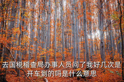 國稅說需要運維是什么意思，什么條件需要辦理國稅我是一個月收入2千左右的維修小檔口也要輸