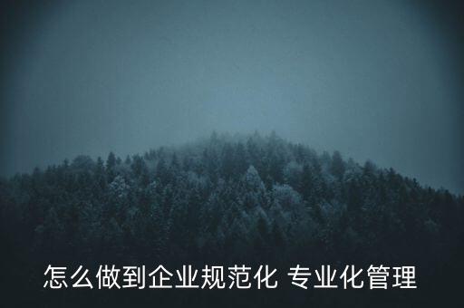 專業(yè)化公司如何管理，專業(yè)化企業(yè)的建議