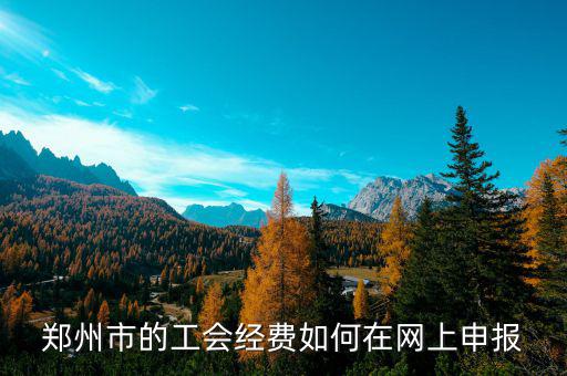 鄭州市的工會經(jīng)費(fèi)如何在網(wǎng)上申報
