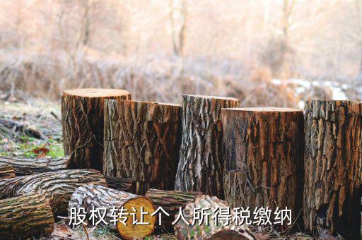 股權(quán)轉(zhuǎn)讓如何繳納個(gè)稅，個(gè)人股權(quán)轉(zhuǎn)讓如何納稅