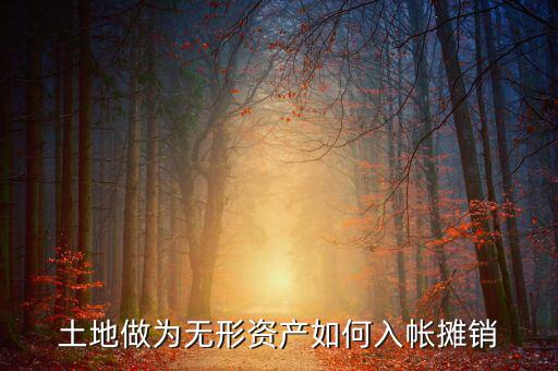 土地如何攤銷，土地做為無(wú)形資產(chǎn)如何入帳攤銷