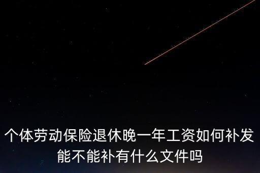 個體勞動保險退休晚一年工資如何補(bǔ)發(fā)能不能補(bǔ)有什么文件嗎