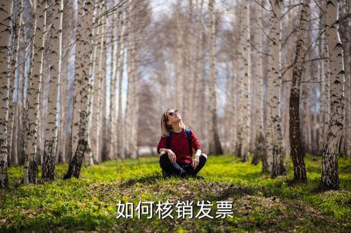 如何網(wǎng)上核銷發(fā)票，怎樣開普通發(fā)票網(wǎng)上核銷