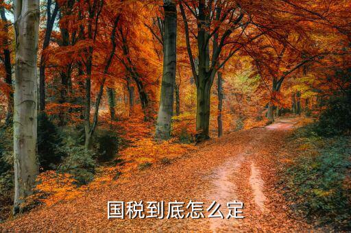 國稅如何定稅，國稅是怎樣定額