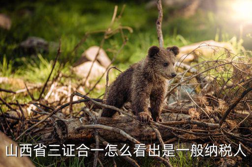 山西省如何查詢納稅人，為什么山西國稅發(fā)票無法查詢真?zhèn)?/></a></span><span id=