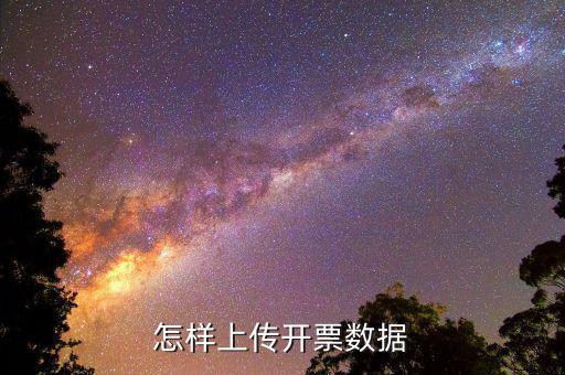 如何上傳進項發(fā)票明細，怎樣上傳開票數(shù)據(jù)