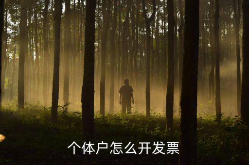 個(gè)體工商戶如何開票，個(gè)體戶怎么開發(fā)票