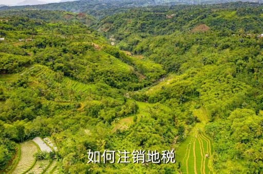 如何注銷地稅，如何注銷地稅