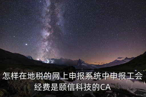 怎樣在地稅的網(wǎng)上申報系統(tǒng)中申報工會經(jīng)費(fèi)是頤信科技的CA