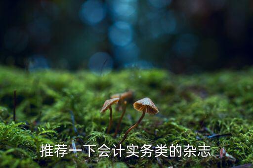 納稅這個(gè)期刊如何，推薦一下會(huì)計(jì)實(shí)務(wù)類的雜志