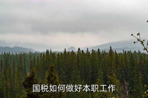 如何做好基層國稅工作，如何做好新形勢下的國稅工作