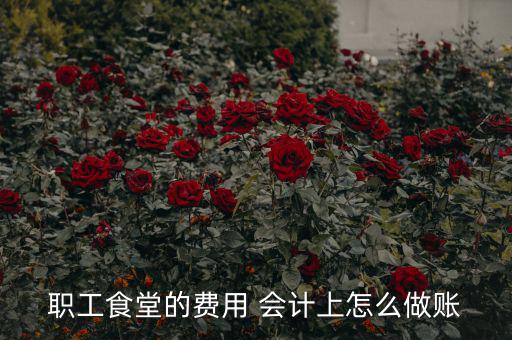 公司食堂費(fèi)用如何入賬，職工食堂費(fèi)用如何入賬