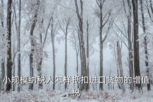 小規(guī)模如何抵扣進(jìn)項(xiàng)，小規(guī)模增值稅怎么抵扣