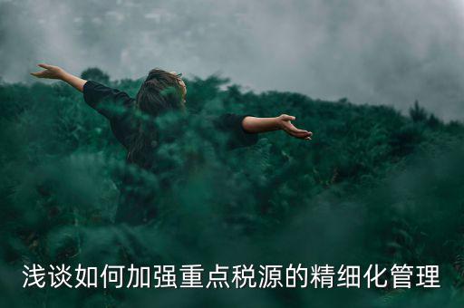 淺談如何加強重點稅源的精細(xì)化管理