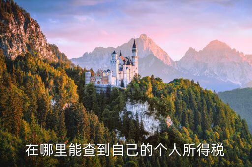 如何查看自己交稅，怎么查自己交了多少稅