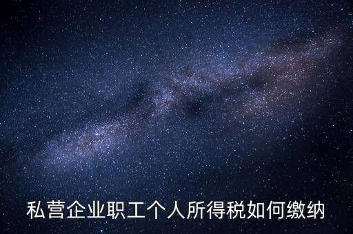 公司如何交個人所得稅，公司給員工發(fā)工資應(yīng)該怎么繳納個稅啊比如