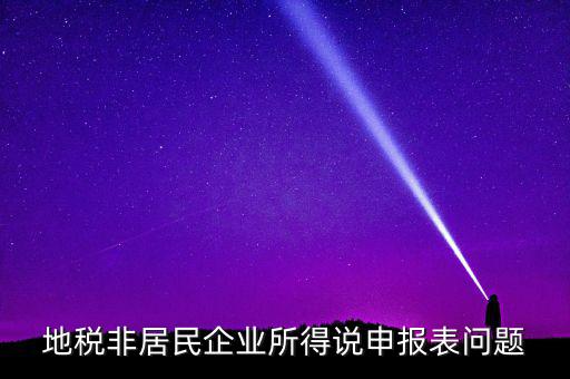扣繳非居民所得稅報告表指什么，扣繳個人所得稅報告表30