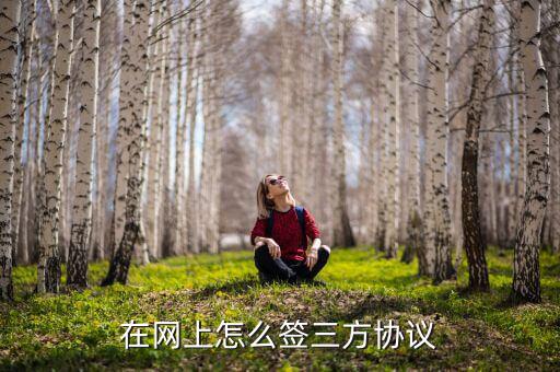 網(wǎng)上如何辦理三方協(xié)議，怎么辦理三方托管協(xié)議進(jìn)行網(wǎng)上報稅