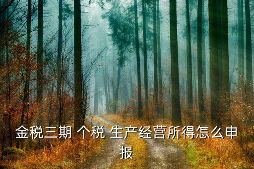 金稅三期 個(gè)稅 生產(chǎn)經(jīng)營所得怎么申報(bào)