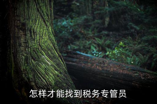如何查詢辦稅人員，誰(shuí)能告訴我不去稅務(wù)局怎么樣查詢專管員