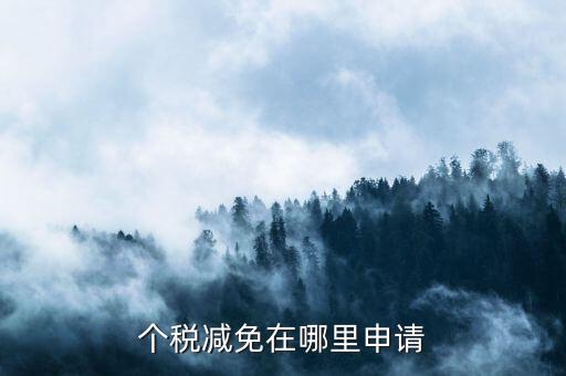 如何申請個稅減免，個稅減免在哪里申請