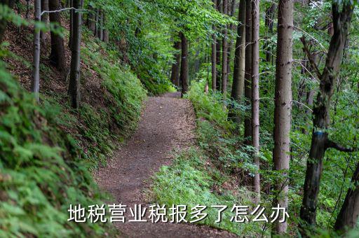 營業(yè)稅多交了如何處理，營業(yè)稅改征增值稅后多交的營業(yè)稅怎么辦交增值稅了不繳納營業(yè)