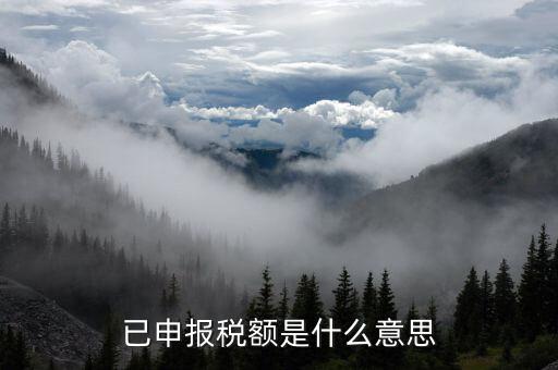 武漢稅務(wù)年報是什么意思，報告年度所得稅什么意思