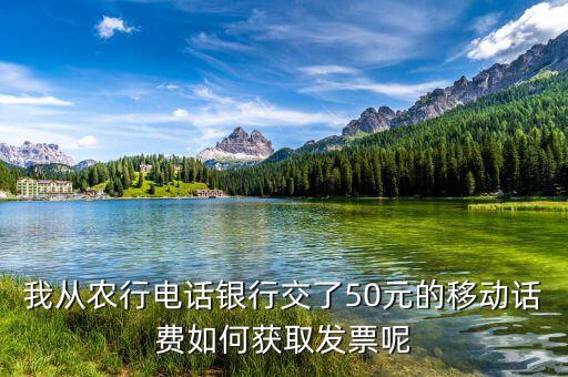 湖北移動電子發(fā)票如何獲取，中國移動手機(jī)帳單電子發(fā)票怎么樣下載