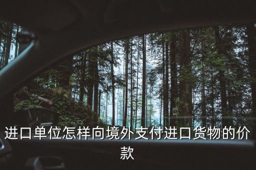 企業(yè)如何境外付款嗎，進(jìn)口單位怎樣向境外支付進(jìn)口貨物的價(jià)款