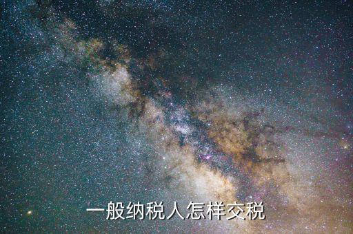一般納稅人如何繳稅，一般納稅人怎樣交稅