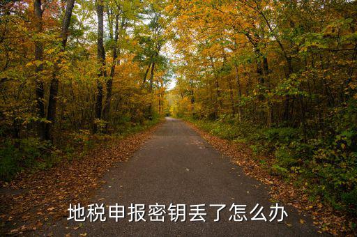 武漢地稅密鑰如何補辦，地稅報稅key掉了補辦需要什么手續(xù)要多少錢