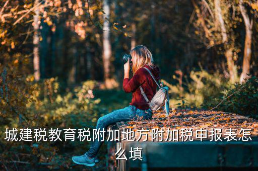 新城建稅附加表如何填，網(wǎng)上申報(bào)城建稅教育附加稅怎么填