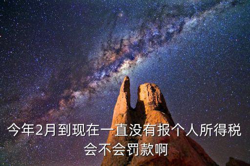 個稅申報(bào)不報(bào)會如何，個人所得稅自行申報(bào)不去做有什么危害