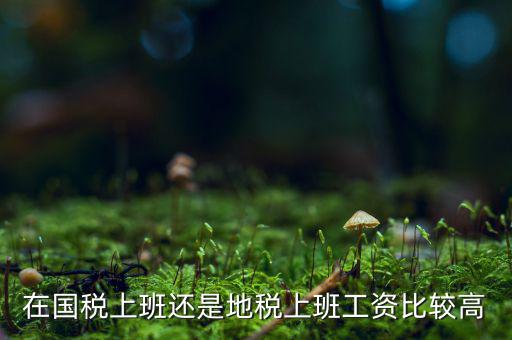 地稅局發(fā)展如何，我要考天津稅務(wù)局想問市區(qū)各地稅局和濱海地稅一分局哪個(gè)好呢