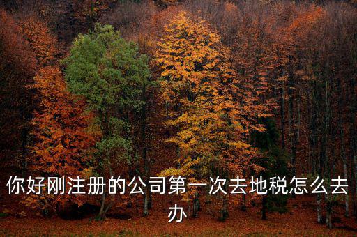 新辦企業(yè)如何辦地稅，新辦企業(yè)去地稅報道需要帶什么手續(xù)