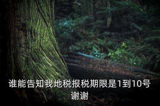 地稅的報稅期是什么時候，地稅中的年度財務(wù)報表申報期限是什么時候