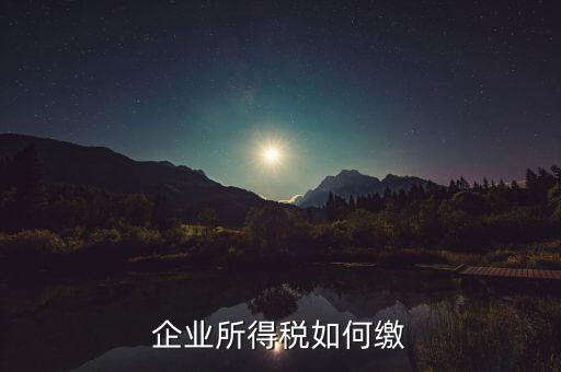 企業(yè)所得稅如何繳稅，企業(yè)所得稅如何繳納