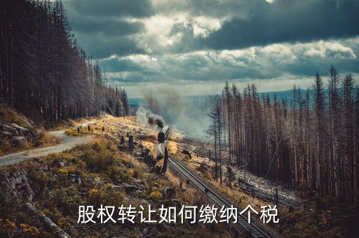 股權(quán)轉(zhuǎn)讓如何交稅，股權(quán)轉(zhuǎn)讓如何繳納個(gè)稅