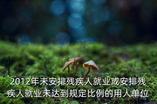 殘保金如何計算，2012年未安排殘疾人就業(yè)或安排殘疾人就業(yè)未達到規(guī)定比例的用人單位