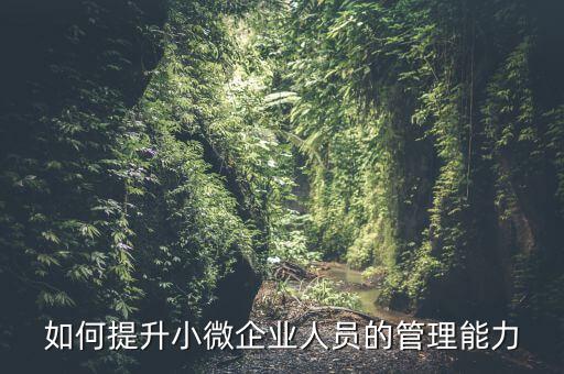 如何加強小型微利企業(yè)管理，如何提升小微企業(yè)人員的管理能力