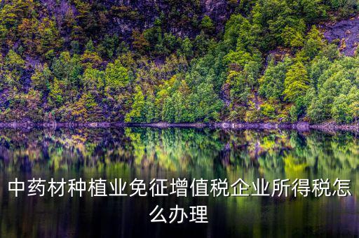 代開的免稅中藥材如何抵扣，中藥材進項抵扣