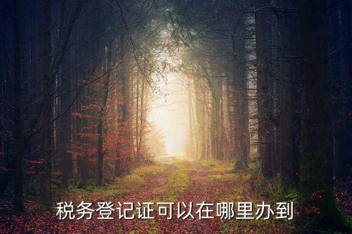 如何辦理稅種登記，辦好營業(yè)執(zhí)照后怎么辦理稅務(wù)登記證