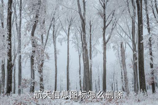 航天信息系統(tǒng)如何卸載，如何刪除系統(tǒng)信息