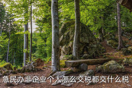 民非企業(yè)如何納稅申報(bào)，民辦非企業(yè)單位如何繳納個(gè)人所得稅